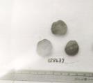Click for 1 image(s) for this accession. FRUIT